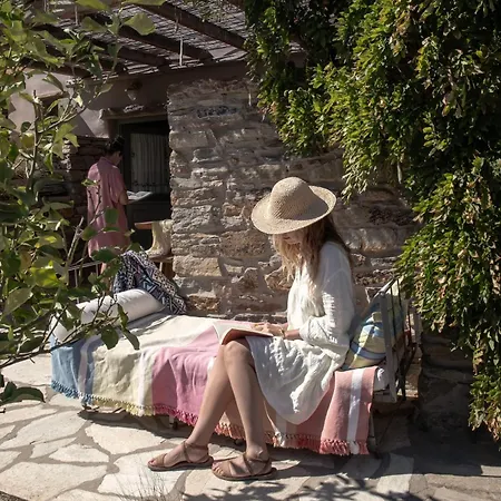 Under The Linden Tree Tinos Country house