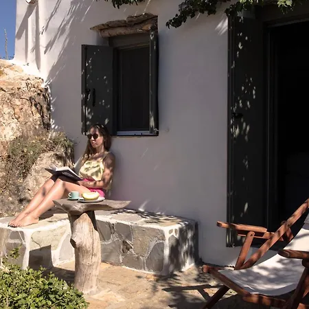 Under The Linden Tree Tinos Xinara