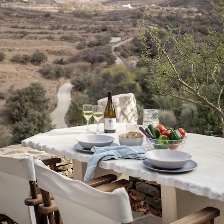 Country house Under The Linden Tree Tinos Xinara
