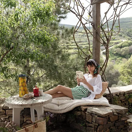 Under The Linden Tree Tinos *
