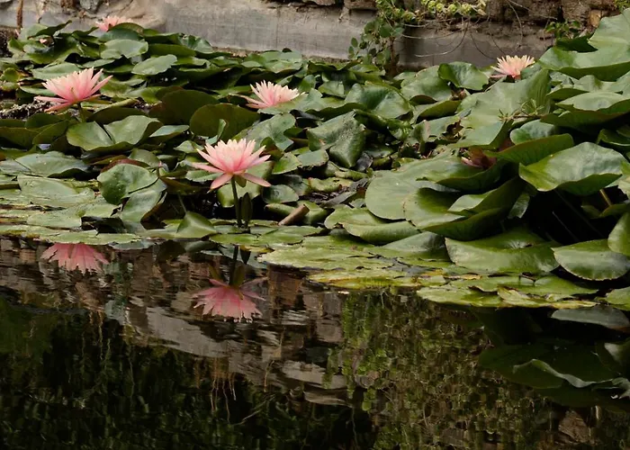 Under The Linden Tree Tinos Casa rural