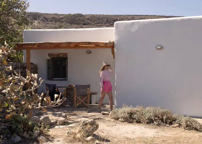 Under The Linden Tree Tinos *