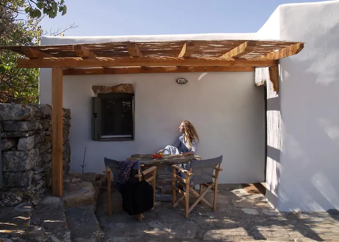 Under The Linden Tree Tinos Casa rural *